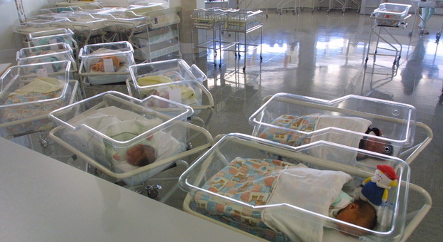 Anche in Polesine nascono sempre meno bambini