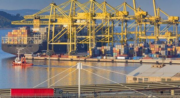 Porto di Trieste: in aumento l'operatività, in ripresa il traffico ferroviario