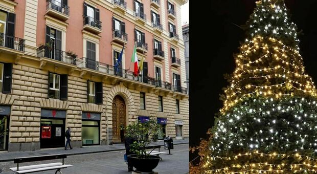 Napoli, rubato l'albero di Natale dei consiglieri comunali: la denuncia del capo dell'opposizione