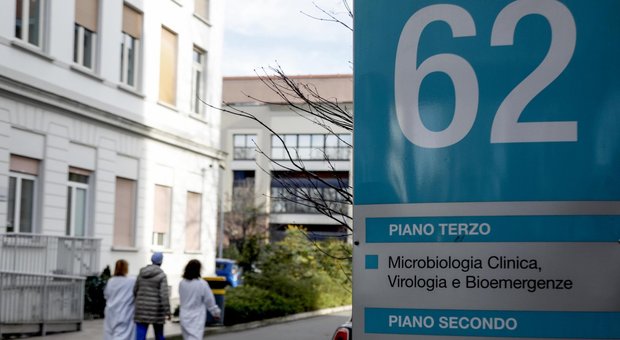 Coronavirus, la direttrice del laboratorio di analisi dell'ospedale Sacco di Milano: «Non è pandemia, mi sembra una follia»