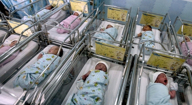 Continuano ad aumentare le nascite nell'ospedale di Urbino, foto tratta dal Web