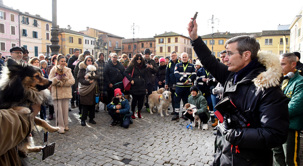 A Fano benedetti in piazza gli animali per Sant'Antonio abate. Don Giorgio: «Compagni di viaggio del creato»