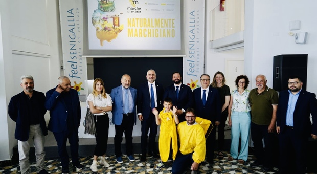 Nasce il brand Marche di Miele: con 71mila alveari e oltre 3mila apicoltori è un settore leader in Italia
