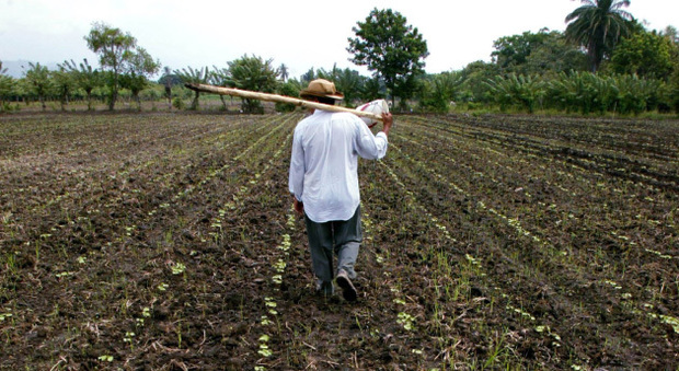 Oxfam al G7 sull'agricoltura a Bergamo: «Ancora ridotti alla fame troppi contadini dei paesi in via di sviluppo»