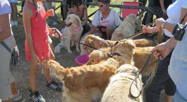 Aperta maxi-area per lo sgambamento dei cani, De Luca: «Li sottraiamo alla criminalità»
