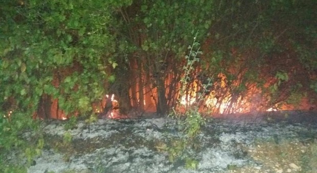 Frosinone, vasto incendio vicino al cimitero di Arpino: paura per gli abitanti