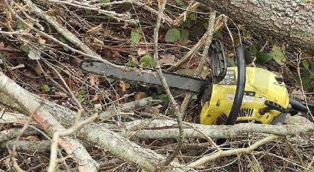 Colpito dai rami dell'albero che stava tagliando, muore a 55 anni