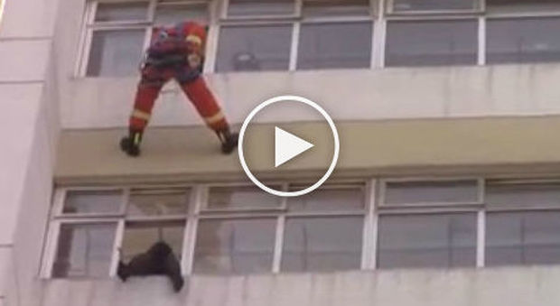 Sta per buttarsi dal balcone, il pompiere la salva con un gesto inaspettato - Guarda