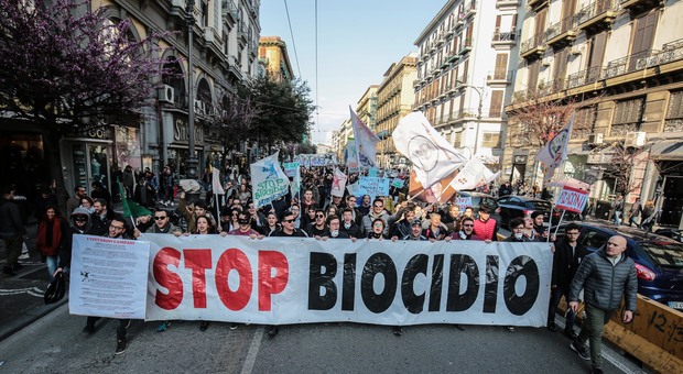 Stop biocidio, l'ira degli attivisti: «La Campania brucia ancora»