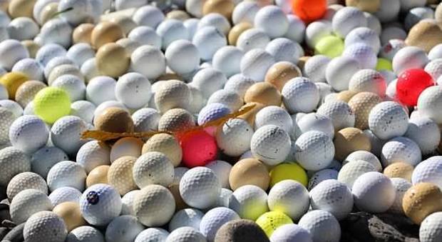 Alcune delle migliaia di palline da golf recuperate