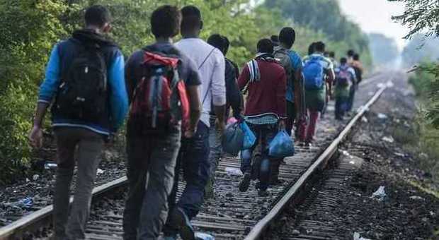 Immigrazione, 100mila profughi hanno attraversato la Serbia. Ue: «40mila profughi numero troppo piccolo»