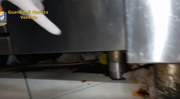 Scarafaggi ed escrementi di topo sui piatti da servire: scena horror nel ristorante cinese