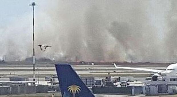 Fiumicino: vasto incendio nella pineta Aeroporto in tilt, aperta un'inchiesta