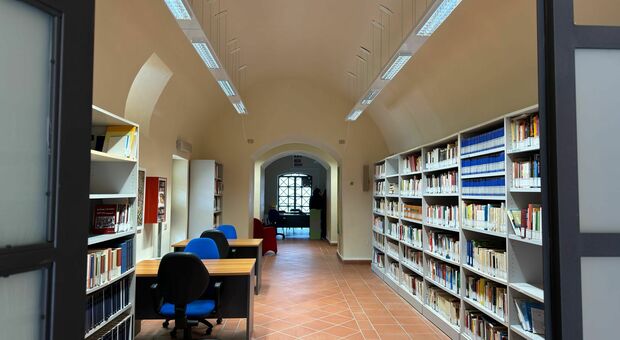 La biblioteca di Palomonte