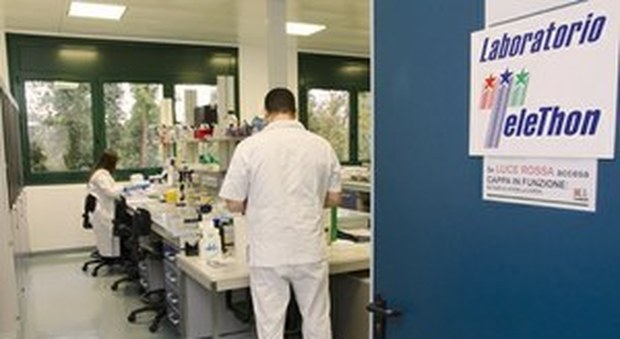 Fondazione Telethon, in Campania 190 mila euro per la ricerca scientifica sulle malattie genetiche rare