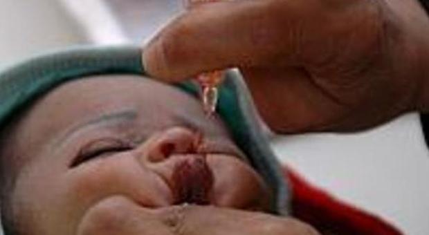 Marche, allarme dei medici Crollano le vaccinazioni dei bambini