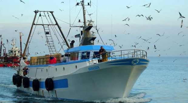 Flag Cilento Mare Blu, nuove progettualità per rilanciare il settore della pesca