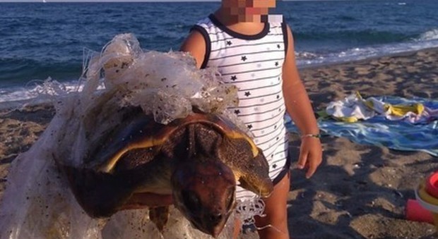 Morta la tartaruga salvata dal piccolo Gabriele: lenza e plastica nell'intestino, uccisa da un'infezione