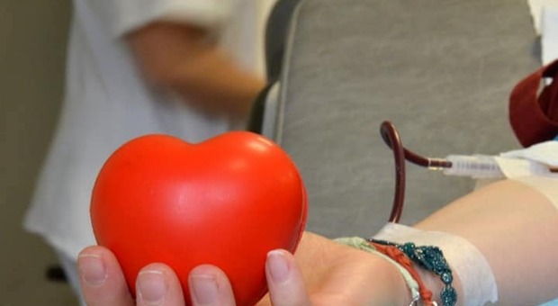 Emergenza sangue in Campania, Sos dal Cardarelli: «Reparti in affanno, venite a donare»
