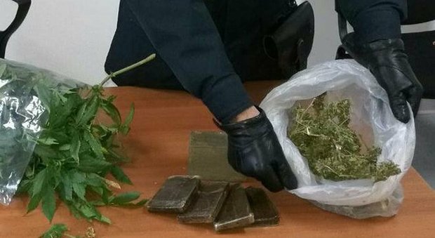 Marano, hashish e piante di marijuana in un locale: arrestato un uomo, sequestrato il deposito