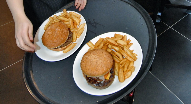 San Donà: «Gli hamburger sono abusivi». Locale chiuso e maxi multa di 5mila euro al proprietario