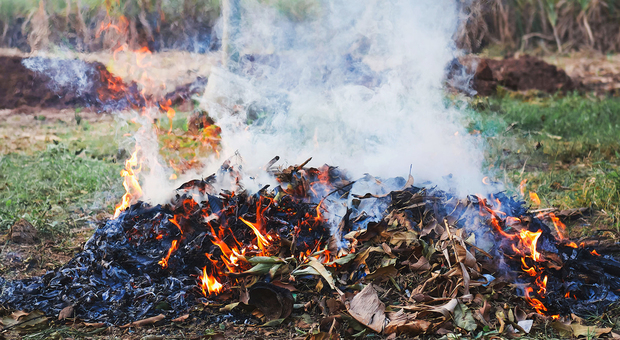 Appicca il fuoco a rifiuti vegetali, 70enne sorpreso e denunciato