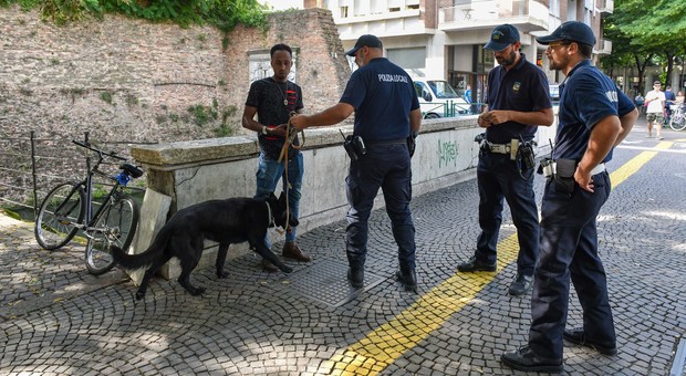 Controlli degli agenti della polizia locale di Treviso (Alvise Bortolanza / Nuove Tecniche)