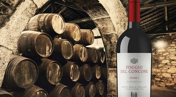 Rally di Italian Wine Brands dopo acquisizione Enoitalia