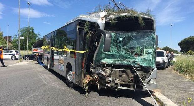 Roma, bus finisce fuori strada e si schianta contro albero: 10 feriti