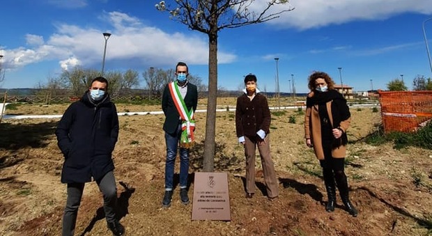 Un albero piantato per commemorare le vittime del Covid: cerimonie in tutte le province
