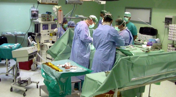 Apiro e Matelica tra i centri più generosi della regione: sono ai vertici nella donazione degli organi