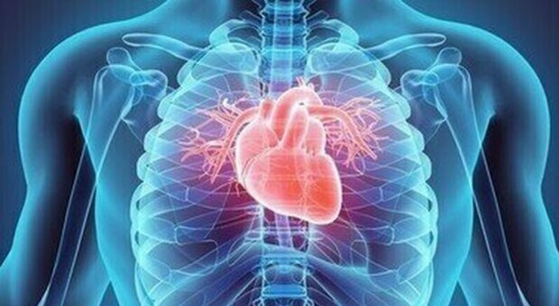 Malattie cardiovascolari, come «evitare» infarti e ictus. I 5 fattori di rischio: dal fumo al colesterolo alto (e non solo)