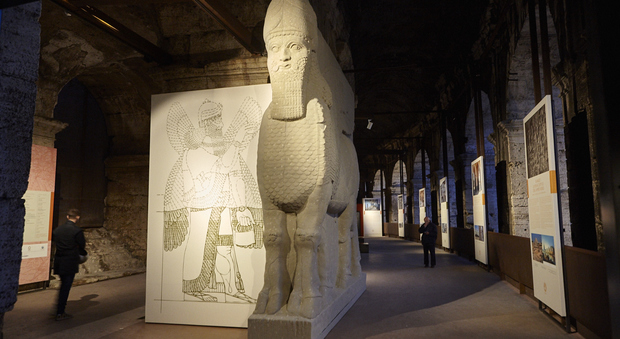 Il Toro di Nimrud