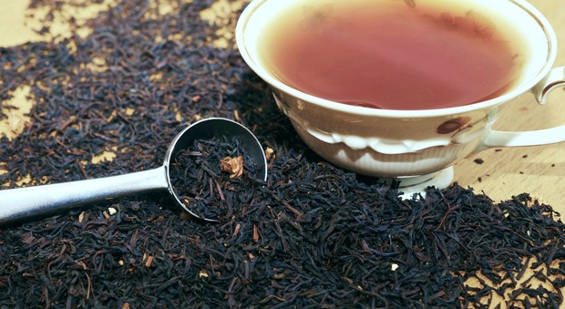Il tè nero aiuta a dimagrire e contribuisce al benessere: lo dice una ricerca