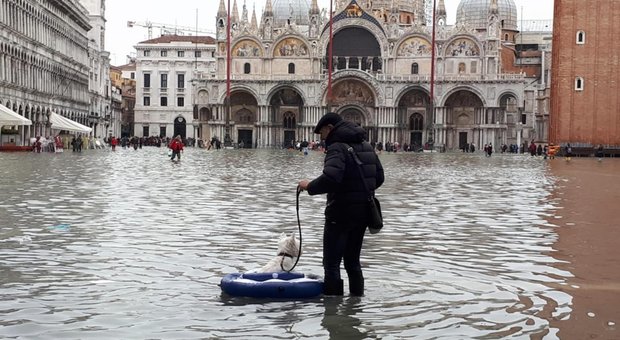 Venezia, acqua alta causata dal mix di scirocco e marea