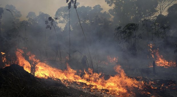Non solo Amazzonia, gli incendi stanno devastando l'Africa centrale