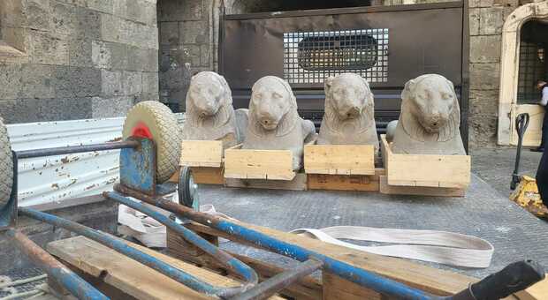 Le statue dei leoni ritrovate nelle segrete del Maschio Angioino