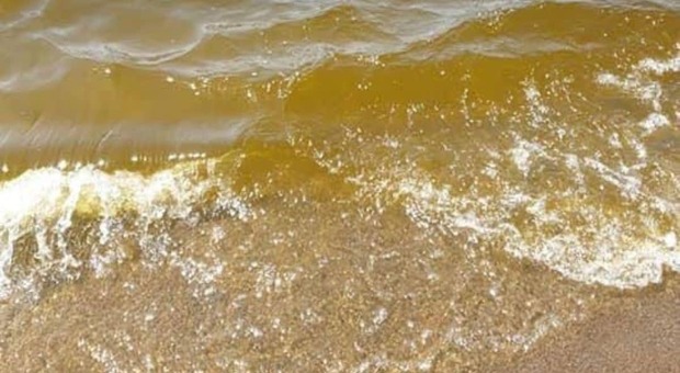 Mare marrone a Baia Domizia, richieste le analisi dell'Arpac