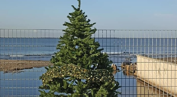 Licola: spunta l'albero di Natale a mare, realizzato dai volontari