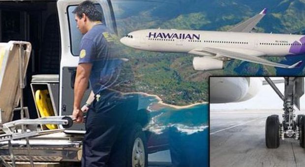 Nascosto nel carrello, 16enne sopravvive a un volo di 4 ore tra California e Hawaii