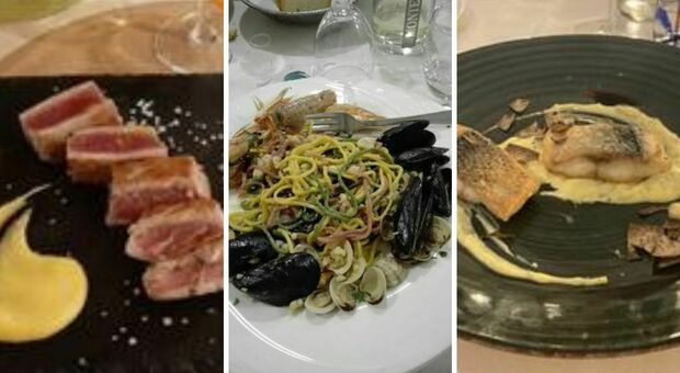 Dagli spaghetti allo scoglio al tonno con pak-choi allo zenzero: ecco tre locali nelle Marche dove mangiare (e bere)