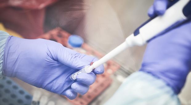 Coronavirus, il vaccino di un'azienda di Pomezia sarà sperimentato su 550 volontari entro fine mese