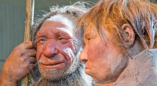 Dna ereditato dai Neanderthal interferisce con i nostri geni: incide su schizofrenia e lupus