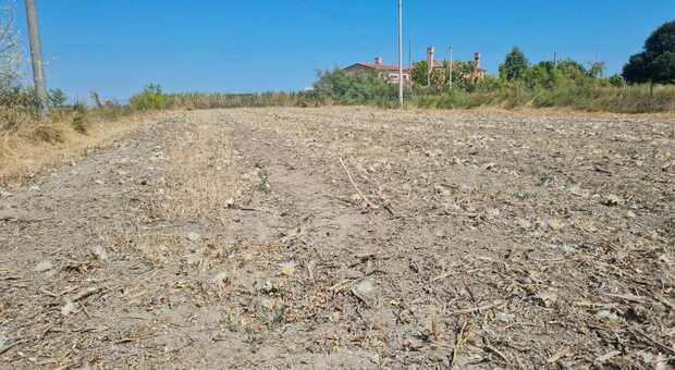 Allarme siccità in Polesine, ottobre bollente: «In un mese neanche una goccia di pioggia»