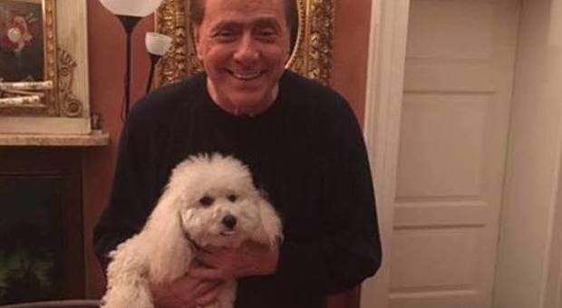 Silvio Berlusconi e i cuccioli di Dudù: "Li teniamo tutti"
