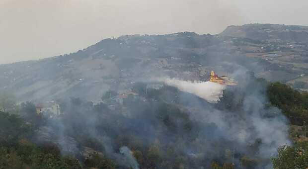 Otto ettari di bosco in fiamme, l'incendio minaccia due abitazioni a Cermignano