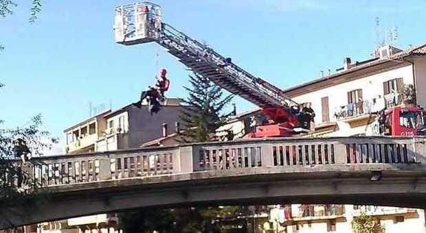 Rieti, vigili del fuoco al lavoro a Ponte Romano per togliere un tronco d'albero sul Velino