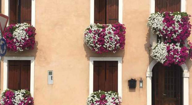 Per i gerani ai balconi di casa è premiato da anonimi con 50 euro: abbellisce il paese