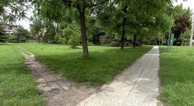 Parco Cibotto, uno degli spazi verdi pubblici concessi dal Comune di Rovigo