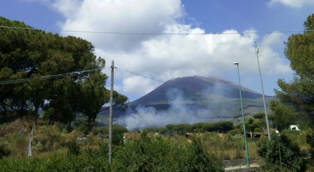 In fiamme sterpaglie, torna la paura incendi nelle aree del parco nazionale del Vesuvio